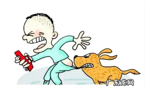 如何防止小孩子被狗咬伤