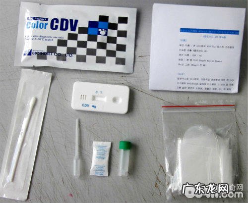犬瘟测纸怎么使用