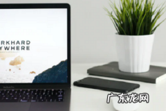 拼多多网店怎么推广和宣传 拼多多店铺怎么推广最有效