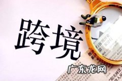 2019年跨境电商Shopee平台佣金规则有哪些？交易手续费是多少？