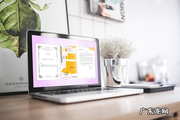 淘宝双十一海外包邮吗?优惠力度多大?