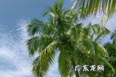 双十一发货慢投诉完会怎么办？怎样维权？