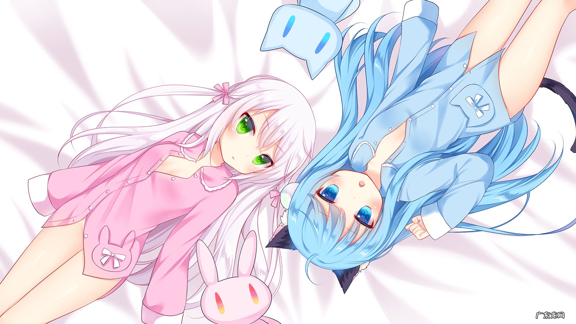 我在电视上看到艾米老师的瘦身汤,后来发现上当了.该怎么办