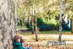 抖音数据罗盘在哪里看？有哪些查看方法？