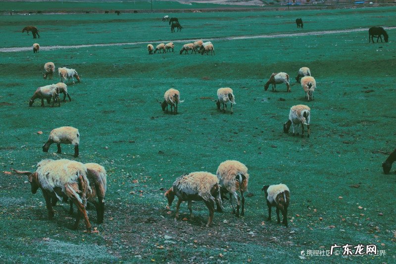 毕业旅行去哪好?推荐适合毕业旅行的9个目的地!