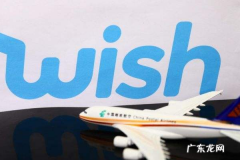 wish一月能赚多少？什么是wish平台？