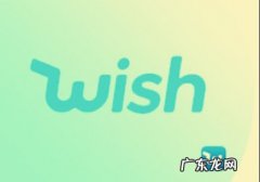 wish店铺如何注销？wish店铺假期模式如何运行？