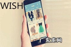 wish小卖家一年赚多少？具体情况分析