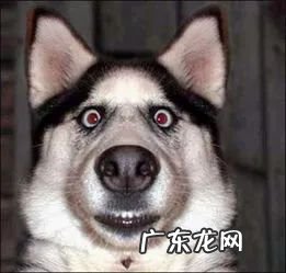 播音主持统考通过率 播音员主持人资格证好考吗