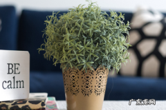 shopee做电商挣钱吗？shopee无货源运营思路