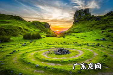 拼多多物流异常怎么处理 拼多多物流服务异常率过高怎么办