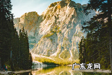 拼多多二级限制怎么解决 拼多多二级限制怎么快速解除