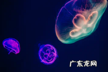 拼多多被二级限制的店铺对以后有影响吗? 拼多多店铺二级处罚以后会有影响吗