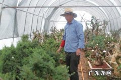 农村如何致富？开农家乐可以帮助我们致富吗？