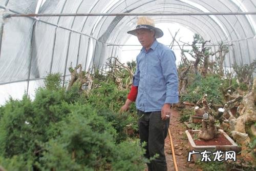 农村如何致富?开农家乐可以帮助我们致富吗?