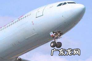 疫情期间wish平台有哪些政策?Wish新商户优享政策有哪些?