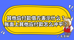 其他应付款借方表示什么？账面上其他应付款怎么冲平？