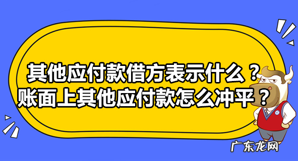 其他应付款借方表示什么?账面上其他应付款怎么冲平?