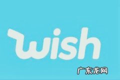 wish平台怎么选品？有哪些技巧和方法？