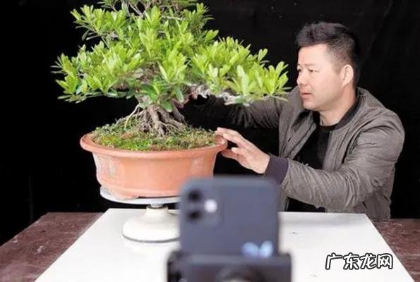 手工活150一天在家做 手工活150一天在家做