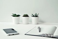 亚马逊新品期多久？亚马逊新品有扶持期吗？