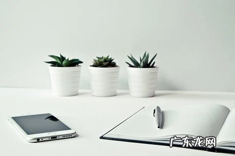 亚马逊新品期多久？亚马逊新品有扶持期吗？