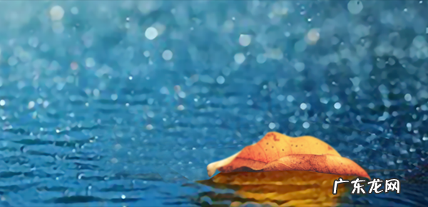 鲶鱼效应的由来 鲶鱼效应是什么意思啊