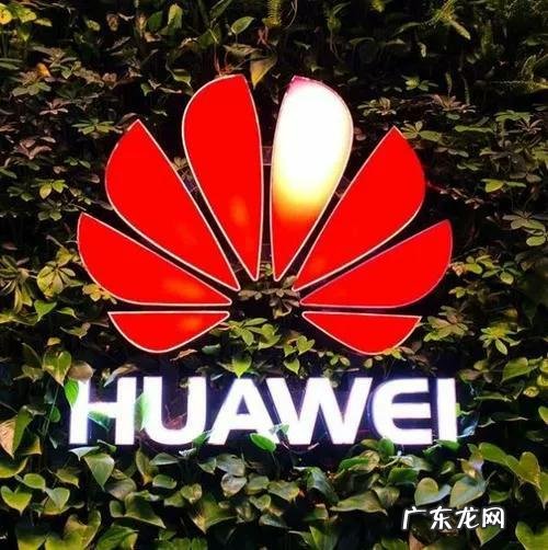 华为文化的形成背景 华为的企业文化是怎么形成的