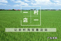 农村淘宝一年利润多少？有哪些盈利模式？