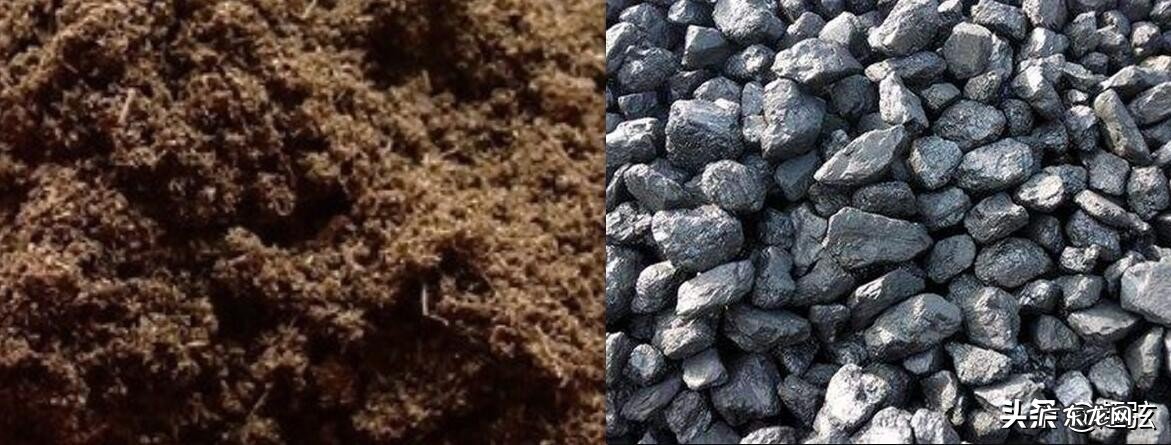 不可再生能源是什么意思?不可再生能源是怎么形成的?