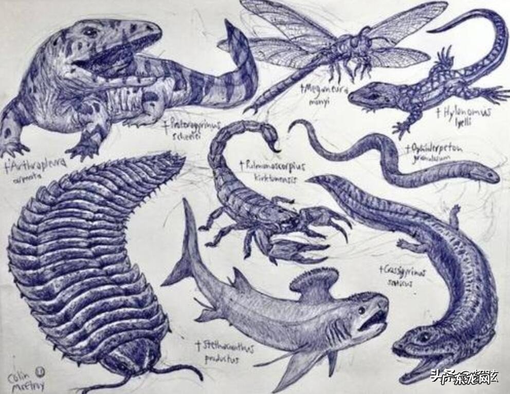 不可再生能源是什么意思?不可再生能源是怎么形成的?