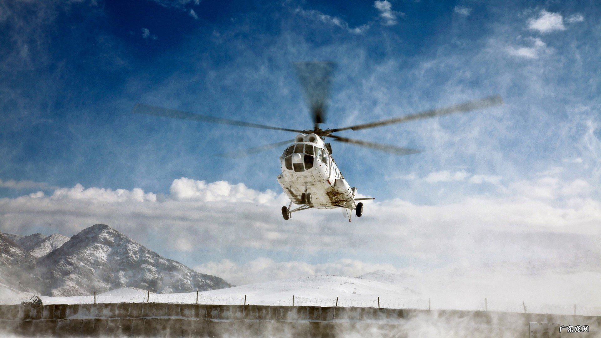 减肥的时候喝脱脂牛奶还是全脂牛奶?