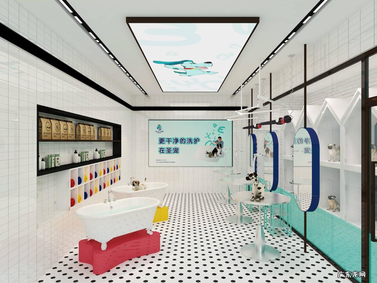 宠物美容店赚钱么?利润多少?