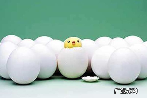 白手起家创业什么好?熟食代理加工可行吗?