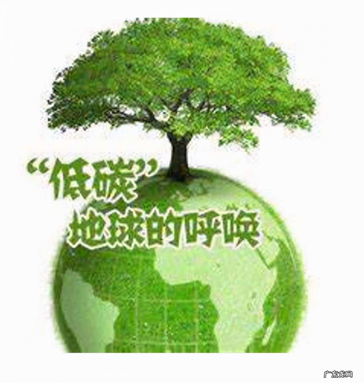 减少高碳能源消耗的经济发展模式 低碳经济是指什么