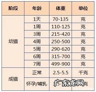 猫咪也有标准体重,这份体重年龄对照表,让你猫咪超重早知道