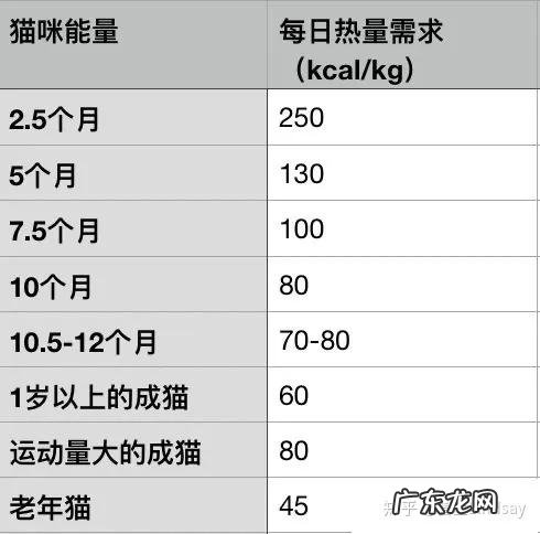 猫咪也有标准体重,这份体重年龄对照表,让你猫咪超重早知道