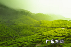 拼多多钱包绑定身份证安全吗 拼多多钱包实名认证安全吗