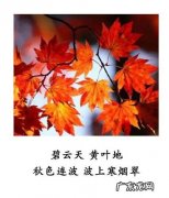 形容相遇美好的古诗终能见 形容相遇美好的古诗