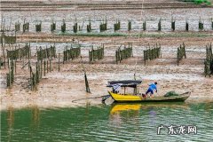 休闲渔业是什么意思？休闲渔业项目有哪些？