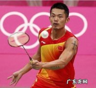 谢杏芳个人资料简介 林丹个人资料