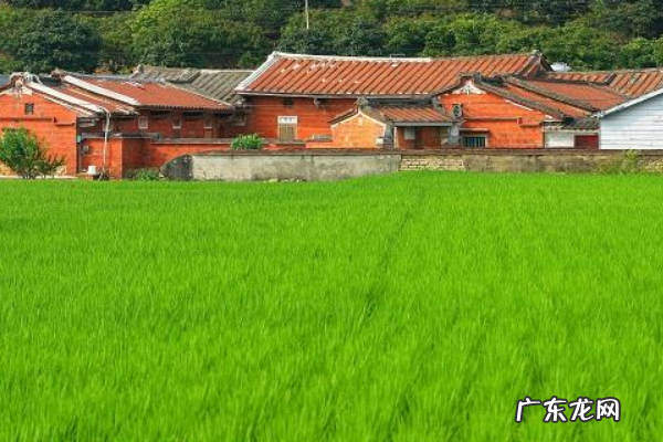 农村养什么赚钱?都有哪些项目?