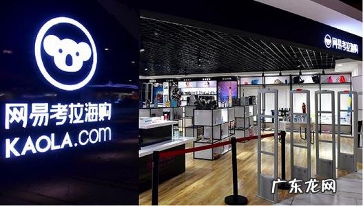 考拉和洋码头哪个靠谱?洋码头怎么样?