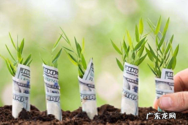 穷人如何赚钱？该如何投资？