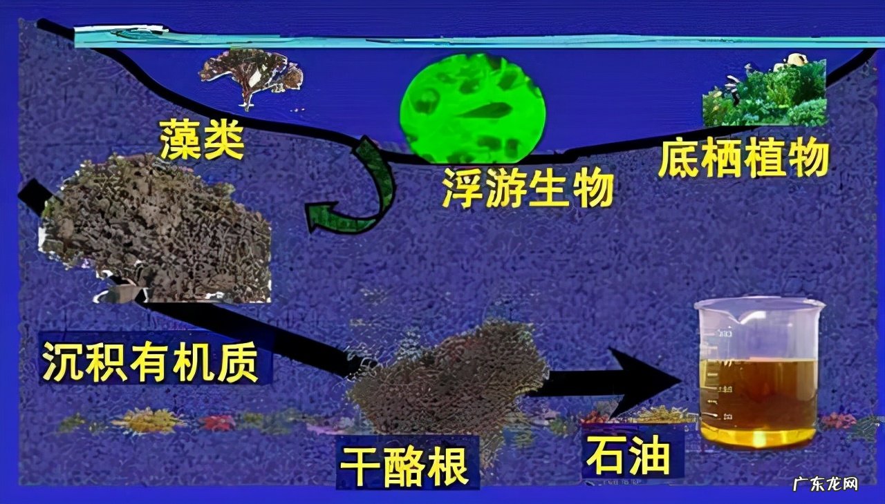 石油是可再生资源吗?石油是如何形成的呢?