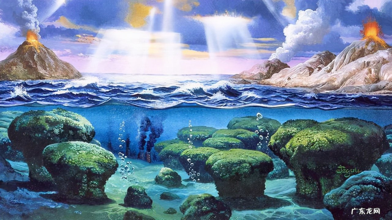 石油是可再生资源吗?石油是如何形成的呢?