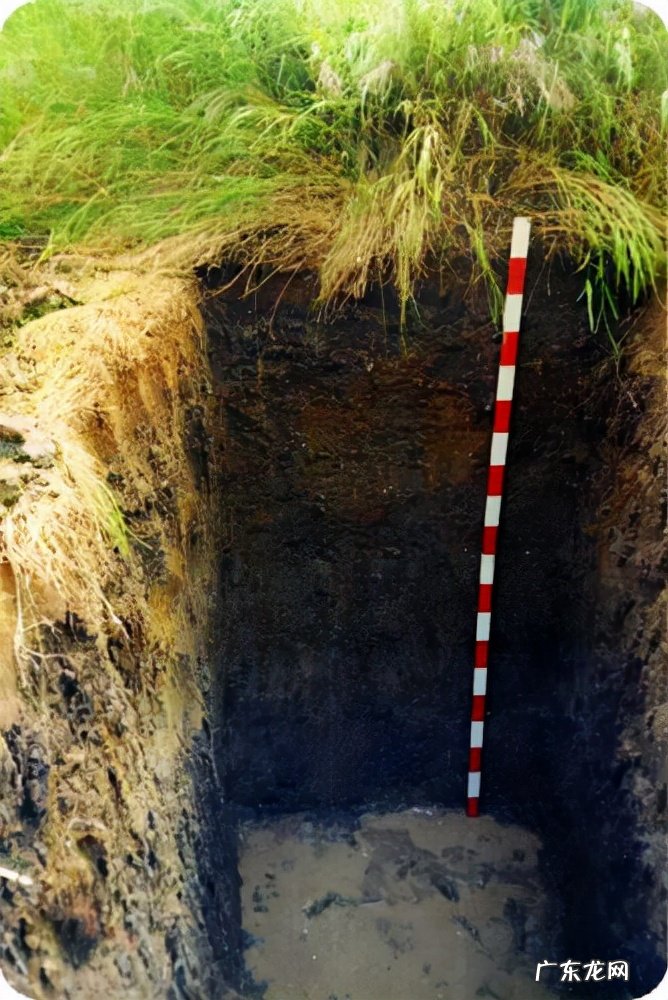 石油是可再生资源吗?石油是如何形成的呢?