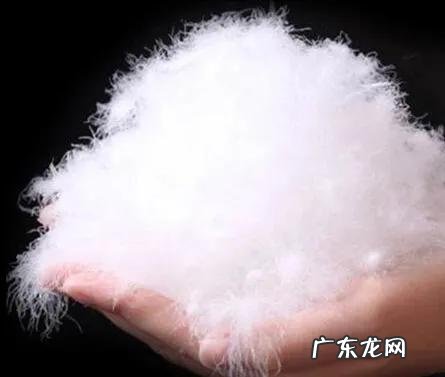 衣物保暖材料大盘点 保暖材料有哪些种类