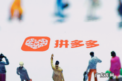 拼多多可以直接改价吗 拼多多拼单价可以随便改吗