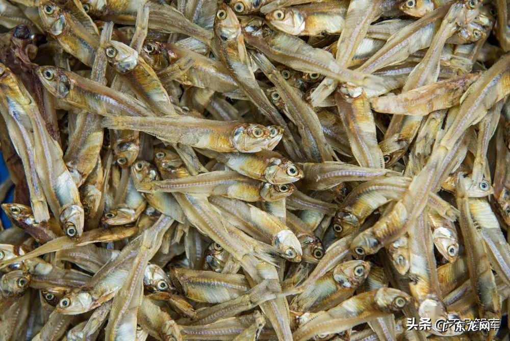 劲仔小鱼是什么鱼做的？劲仔小鱼安全吗？